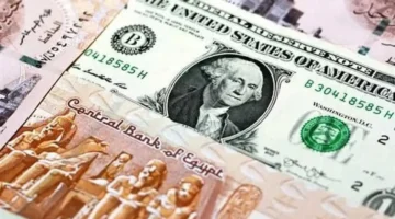 سعر الدولار مقابل الجنيه في البنوك يتراجع اليوم الثلاثاء وسط تقلبات السوق